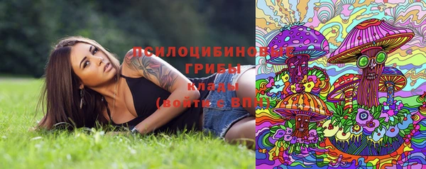 МДПВ Белокуриха