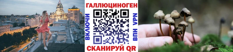 нарко площадка какой сайт  Каспийск  Галлюциногенные грибы Psilocybine cubensis 